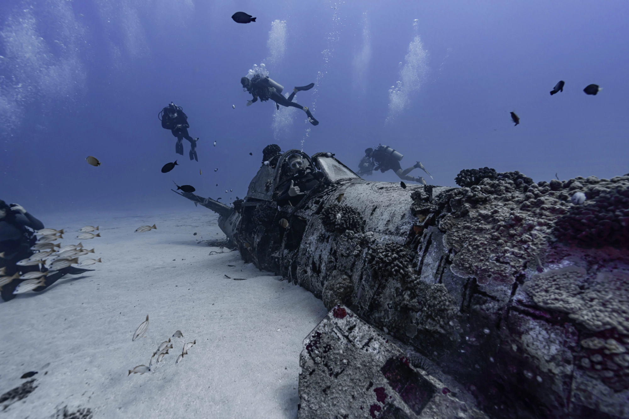 Two Tank Wreck and Drift Dive in Honolulu, Hawaii - Honolulu